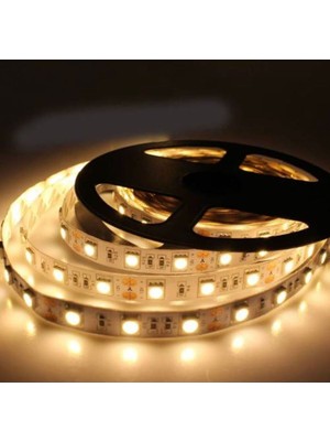 Mutfak Tezgahı Için 3 Metre Gün Işığı Şerit Led, 12V Adaptörlü, Açma-Kapama Anahtarlı