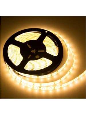 3200K Gün Işığı 12V Iç Mekan Şerit LED 5 Metre
