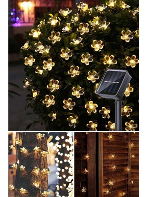 50 Papatya Çiçek Güneş Enerjili Solar LED Işık, Dekoratif, Rgb, Bahçe, Balkon