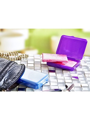 Feyza Design Mini Ped Saklama Kutusu, Makyaj ve Seyahat Organizer, Çanta Içi Kutu