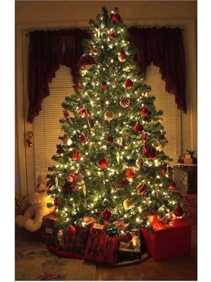 Yılbaşı Işığı 50 LED 5 Metre Dekoratif Şeffaf Kablolu Süs