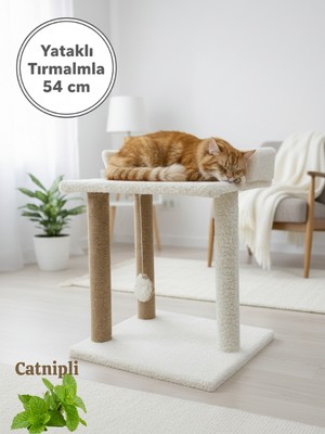 Dayanıklı 54 cm Kedi Tırmalama Direği ve Kedi Yatağı| 45X50 cm Geniş Zemini ile Devrilmez | Kalın Jüt Ipli Kedi Tırmalama | Yavru ve Yetişkin Kedilere Özel Konfor  Evcil Hayvan Oyun ve Dinlenme Ürünü