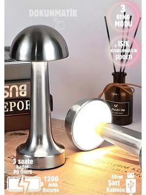 Feyza Design Renkli Şarjlı Dim Edilebilir Metal Masa Lambası, Şık ve Kullanışlı