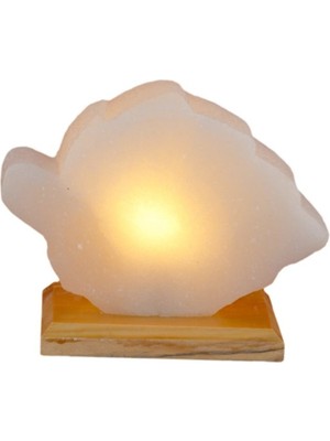 Feyza Design Doğa Esintili Yaprak Şekilli Kaya Tuz Lambası, Evinize Şıklık Katın