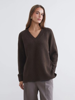 LC Waikiki Lcwaıkıkı Classic Kahverengi V Yaka Kadın Triko Kazak