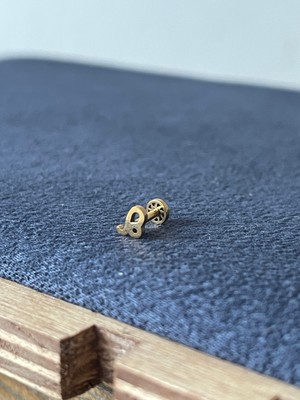 Aida Jewelss 316 L Cerrahi Çelik Aslan Burcu Altın Tragus Piercing
