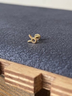 Aida Jewelss 316 L Cerrahi Çelik Boğa Burcu Altın Tragus Piercing