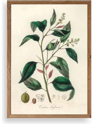 Yaprak Ahşap Çerçeveli Tablo