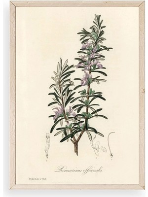 Yaprak Ahşap Çerçeveli Tablo