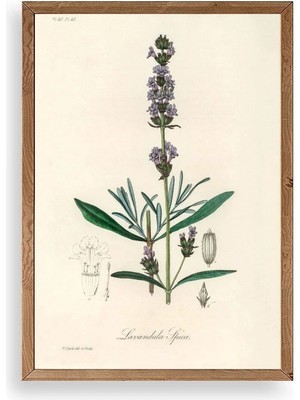 Yaprak Ahşap Çerçeveli Tablo