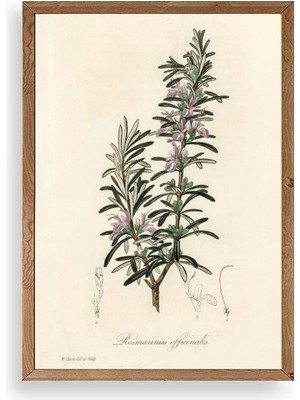 Yaprak Ahşap Çerçeveli Tablo