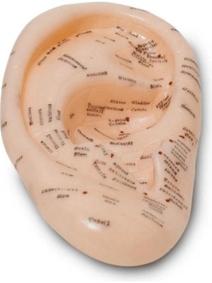 Just Cheap Store Akupunktur Kulak Modeli