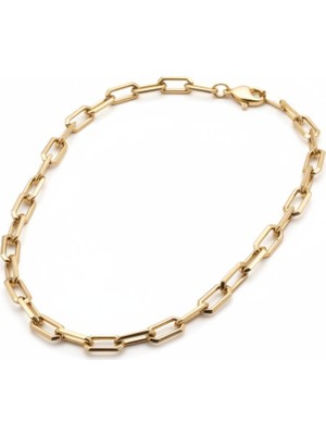 PIEDORA GOLD 14 Ayar Altın Ataş Zincir Bileklik – Modern ve Şık Tasarım