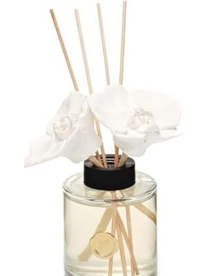Storemax 200 ml Seramik Taş Bambu Çubuklu Oud Vanilya Oda Kokusu