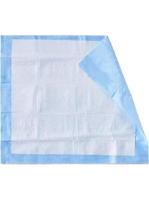 Storemax Myflon Premium Ultra Kalın 200GRAM M2 4 Lt M2 Sıvı Emici 60X90 Alt Değiştirme, Hasta Bakım Yatak Koruyucu Örtüsü, Bebek Alt Açma Örtüsü, Evcil Hayvan Çiş Pedi 10 Adet