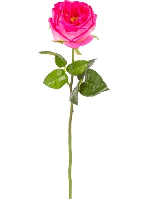 Storemax Yapay Çiçek Islak Dokulu Gül Fuşya 48 Cm.