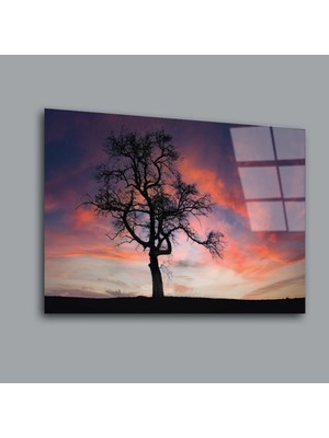 Glassual Art Renkli Bulutların Önünde Ağaç Manzara Cam Tablo PCT0162