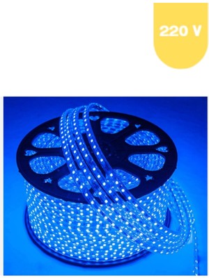 Powerr Led Aydınlatma 220 Volt Mavi 60 Ledli 3 Çipli Hortum LED 5 Metre Güç Kablosu Dahil