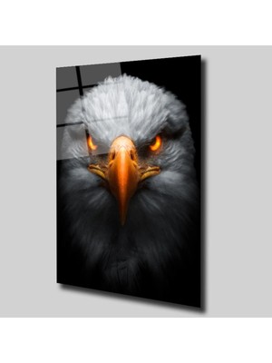 Glassual Art Kartal 2 Hayvanlar Alemi Cam Tablo PCT0293