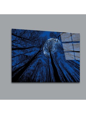 Glassual Art Gece Çıkan Ay ve Ağaçlar Manzara Cam Tablo PCT0148