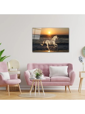 Günbatımı ve At Hayvanlar Alemi Cam Tablo PCT0414