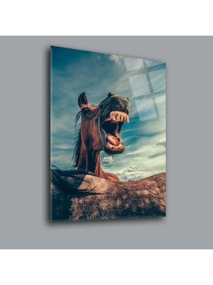 At Hayvanlar Alemi Cam Tablo PCT0062