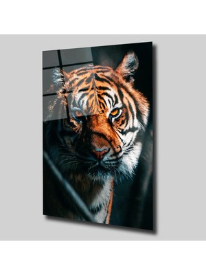 Glassual Art Kaplan 2 Hayvanlar Alemi Cam Tablo PCT0325