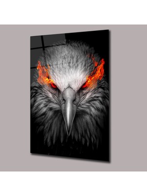 Glassual Art Alev Gözlü Kartal Hayvanlar Alemi Cam Tablo PCT0787