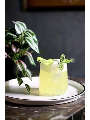 Storemax Nova Viski 315 cc 6'lı Hediyelik Kutu