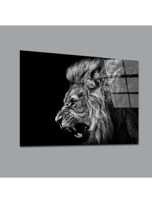 Glassual Art Siyah Beyaz Aslan 5 Hayvanlar Alemi Cam Tablo PCT0173