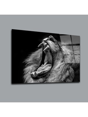 Glassual Art Siyah-Beyaz Aslan Hayvanlar Alemi Cam Tablo PCT0100