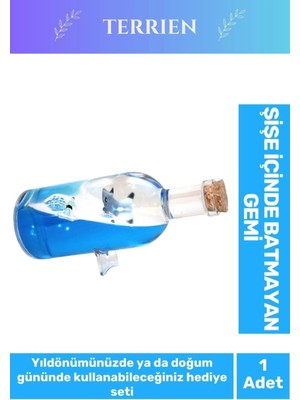 Terrien Özel Tasarım Aşk Batmayan Gemi Yıl Dönümü Kız Arkadaş Doğum Günü Hediye Sevgiliye Akvaryum 17*6 cm