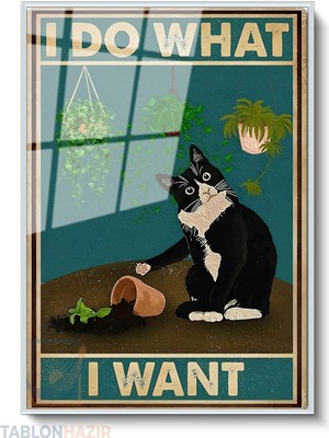 Tablonhazır Dikey Çerçeveli Cam Komik Kkedi Gorseli Modern Ev Dekoru Duvar Sanatı Ev Ofis Tablosu