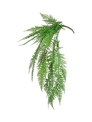 Tuncel Store Herdekora Yapay Fujer Aşk Merdiveni Yeşil 100 Cm.