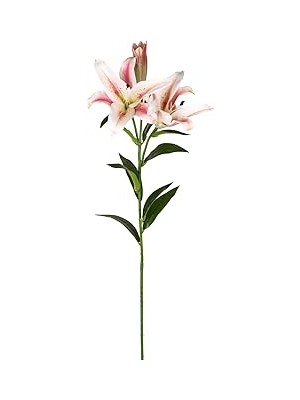 Tuncel Store Herdekora Yapay Çiçek Zambak Fuşya-Krem 85 Cm.