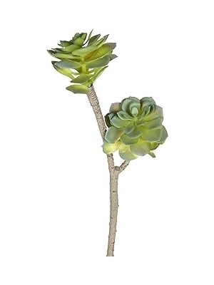 Tuncel Store Herdekora Yapay Sukulent Kaktüs Yeşil 50 Cm.