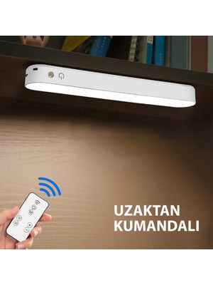 Feyza Design Taşınabilir Kumandalı LED Masa Lambası, 3 Işık Seçeneği, USB Güçlü