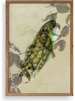Daniska Kuş Ahşap Çerçeveli Tablo 17 x 23