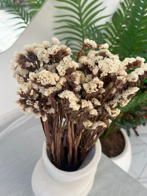 Ziva Dekor Beyaz Şoklanmış Statüs 50 Gram