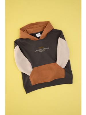 U.S. Polo Assn. Erkek Çocuk Gri Kapüşonlu Sweatshirt 50316469-VR024
