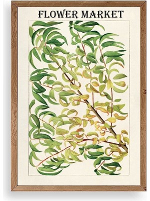 Marsilyan Grancica Breskve Ahşap Çerçeveli Tablo 23 x 30