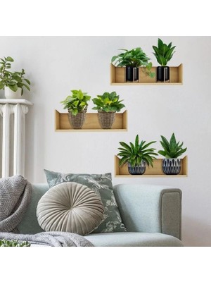 Eco Lounge Raflı Bitki Tasarımlı Yapışkanlı Sticker 20*30 cm 3lü Set MC-663