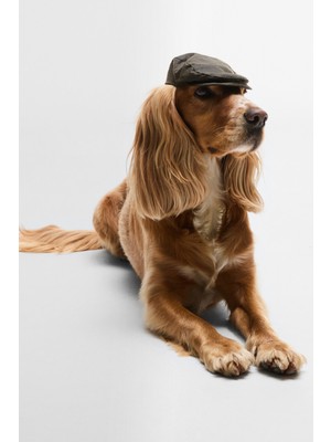 Barbour Yağlı Köpek Kasketi OL71 Olive