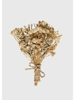 Ramsey Bej Yaka Aksesuarı