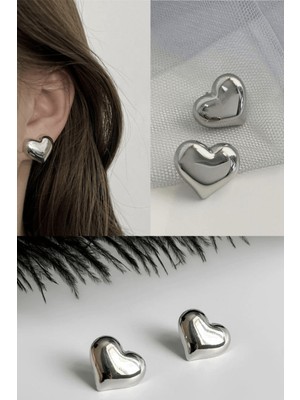 Design 4N Kadın Trend Model Kalp Küpe