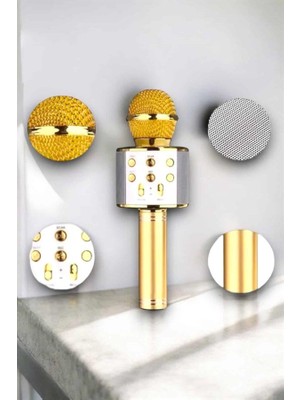 FRY Taşınabilir Bluetooth Karaoke Mikrofon: Hafıza Kart Girişli Etkileyici Performans