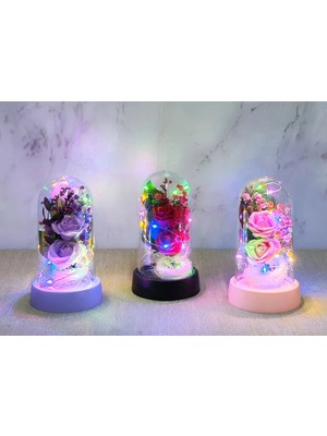 Livenda Işıklı Müzikli Romantik Fanus Tekli Gül ALK5007