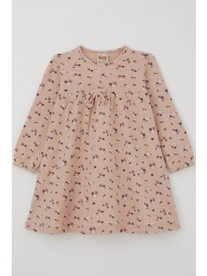 Deco  Kız Çocuk Uzun Kollu Elbise Çiçek Desenli Fiyonk Aksesuarlı 2-5 Yaş, Pudra