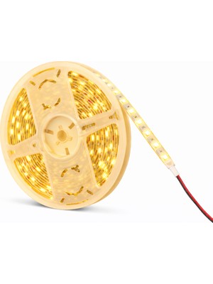 Samsung 12V 4040 Iç Mekan IP20 Şerit LED (10 Metre)