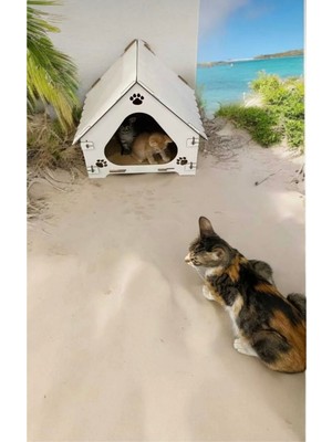 Feyza Design Doğal Ahşap Kedi Evi ve Yatağı, Konforlu ve Şık Tasarım